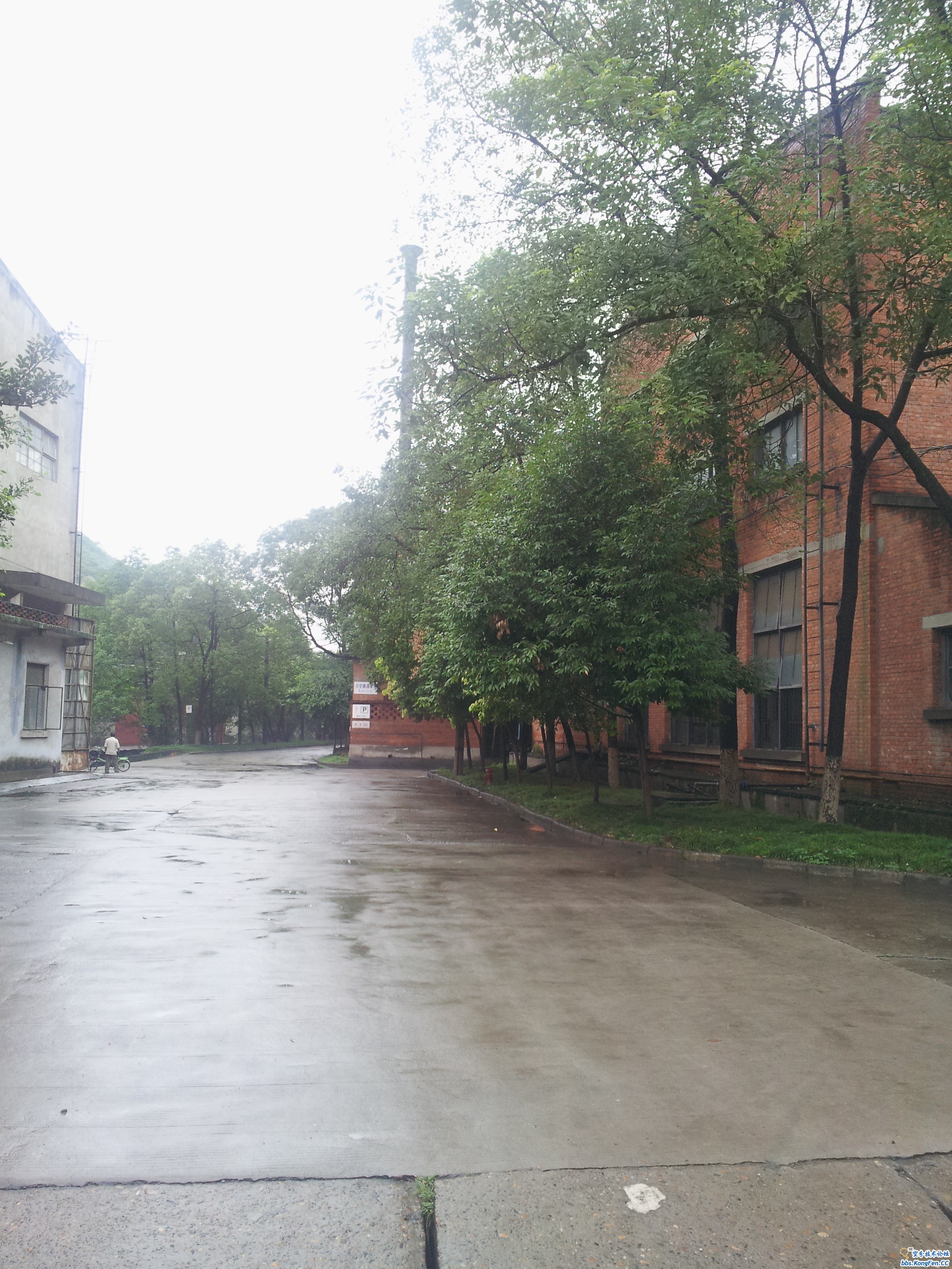 20120627_101012.jpg